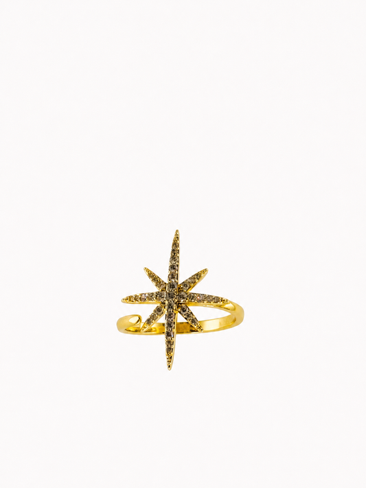 Polaris Ring