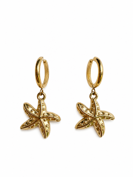 Maris Star Hoops